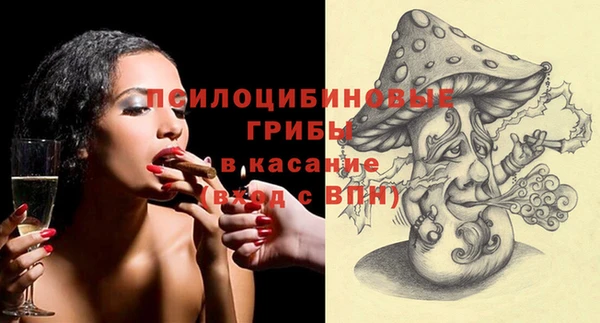 не бодяженный Алзамай