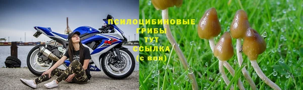спиды Абинск